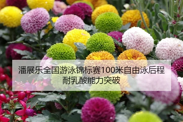 潘展乐全国游泳锦标赛100米自由泳后程耐乳酸能力突破