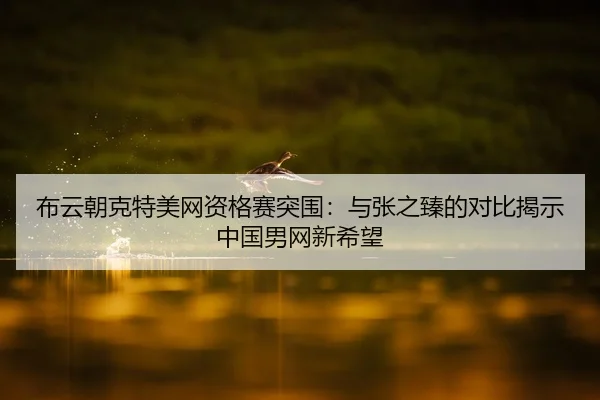 布云朝克特美网资格赛突围：与张之臻的对比揭示中国男网新希望