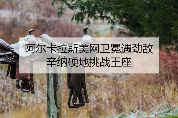 a-er-ka-la-si-mei-wang-wei-mian-yu-jing-di-xin-na-ying-di-tiao-zhan-wang-zuo-2-112.jpg
