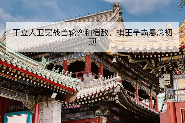 ding-li-ren-wei-mian-zhan-shou-lun-yi-he-su-di-qi-wang-zheng-ba-xuan-nian-chu-xian-2-657.jpg