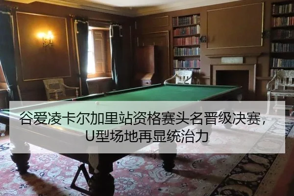 gu-ai-ling-ka-er-jia-li-zhan-zi-ge-sai-tou-ming-jin-ji-jue-sai-xing-chang-di-zai-xian-tong-zhi-li-2-649.jpg