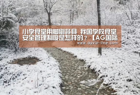 小学食堂用脚刷餐具 我国学校食堂安全管理制度是怎样的？【AG国际厅】(图1)