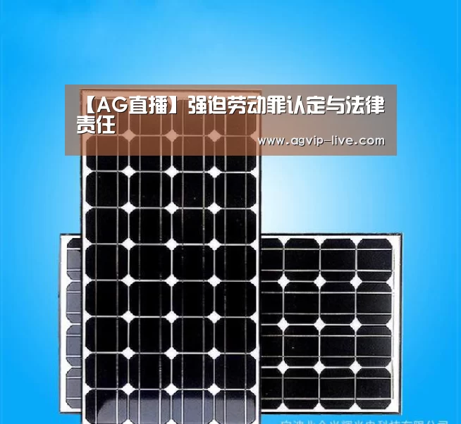 【AG直播】强迫劳动罪认定与法律责任(图3)